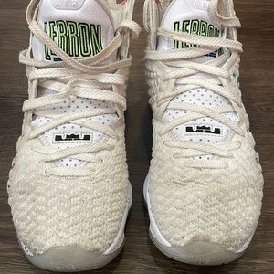 Lebron XVII basketball shoes / sneakers